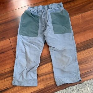 Patagonia Blue Hiking Pants
